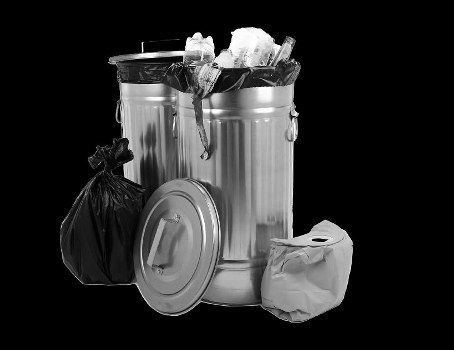 Eco-friendly garden clearance practices